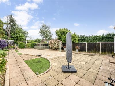 Picture 22